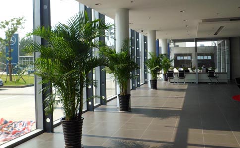 氣車4s店綠植租擺方案